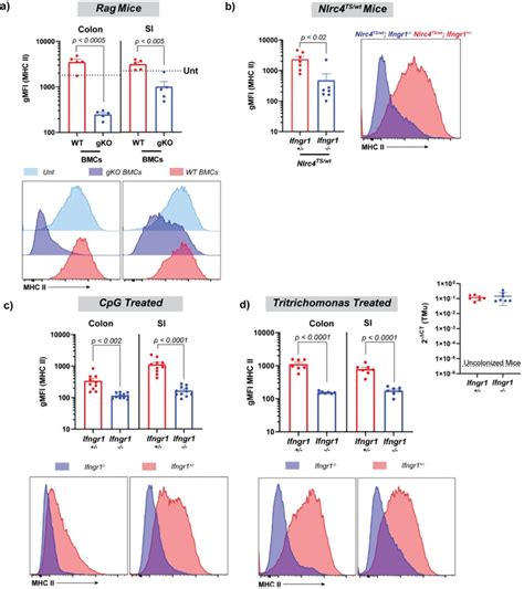 Diverse In Vivo Triggers Of Mhcii Expression All Require Ifng