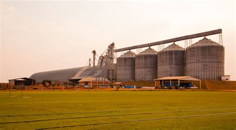 Grain Harvest Expected To Hit Record Figure Of Million Metric