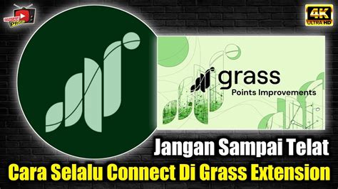 Airdrop Grass Terbaru Cara Selalu Konnek Grass Extension Supaya Poin