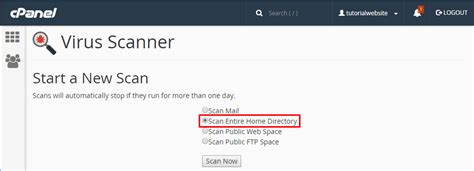 How To Use Virus Scanner Option Under Advanced Section In The CPanel