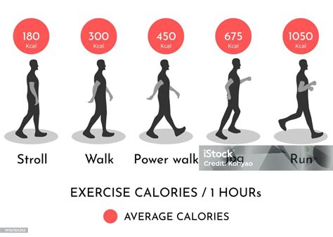 Comparing Calories Burned Between Types Of Excercise Stock Illustration ...