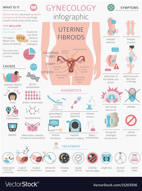 Uterine Fibroids Ginecological Medical Desease Vector Image