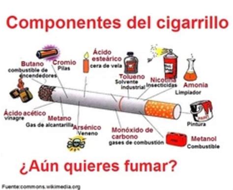 Infografía componentes del cigarrillo Curriculum Nacional MINEDUC