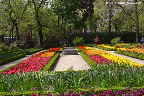 Tulipanes Variados En El Real Jardín Botánico De Madrid En Primavera Jardin Botanico Madrid