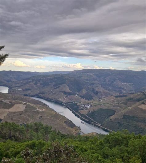 Indulge In The Ultimate Douro Valley Premium Tour Lunch Cruise And