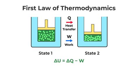 Exploring The First Law Of Thermodynamics