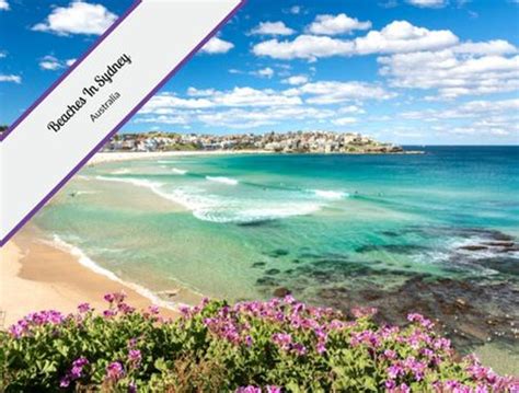 Explore the Best Beaches in Beautiful Sydney