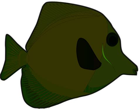 Download Tropical Fish Svg Freepngimg