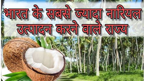 Top Coconut Producing States In India