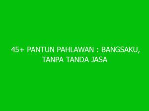 45 Pantun Pahlawan Bangsaku Tanpa Tanda Jasa Dan Nasional Ngelmu