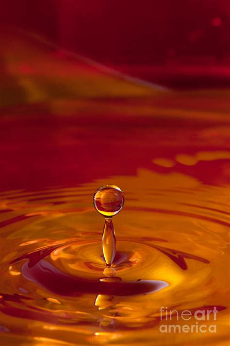 Liquid Art Photograph By Cindy Singleton Fine Art America