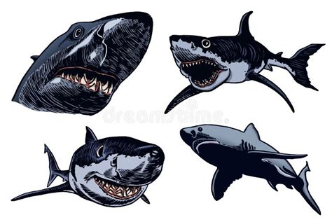 Graphical Set Of Sharks Silhouettes Isolated On White Background