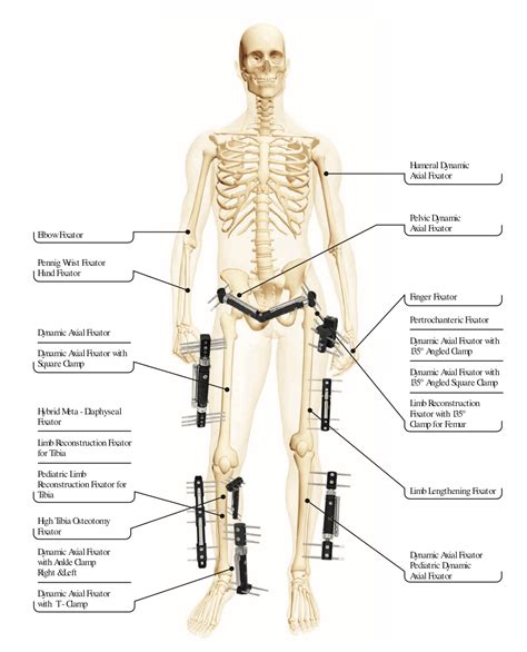 General Models Orthopromed Inc