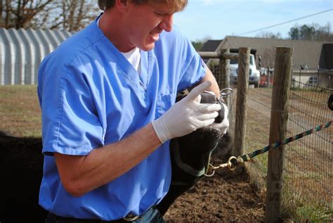 Adventures On Zephyr Hill Farm Fatal Attraction Hardware Disease In