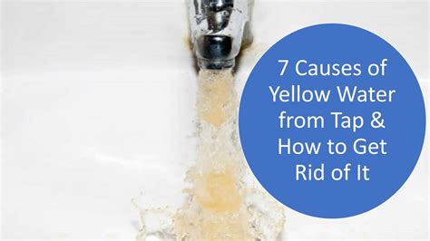 7 Reasons For Yellow Water From Tap How To Get Rid Of It