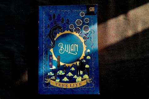 Sinopsis Novel Bulan Bagian Kedua Seri Bumi Karya Tere Liye