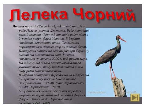 Презентація Тварини Червоної книги
