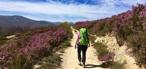 Quelles Sont Les Plus Belles Tapes Du Camino De Santiago