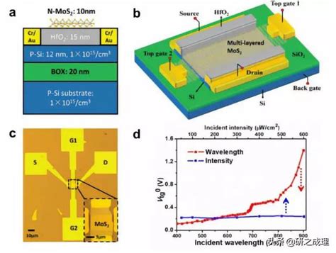復旦大學包文中基於二維半導體器件的新型柵結構研究取得系列進展 每日頭條