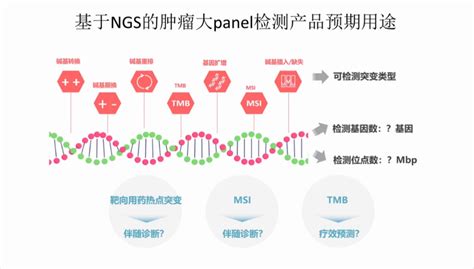 肿瘤ngs大panel｜肿瘤大panel检测的标准化及研究进展标准化中检院肿瘤检测基因样本 健康界