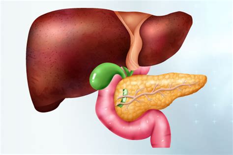 Bile Duct Cancer Cholangiocarcinoma Dr Ravindra Nidoni