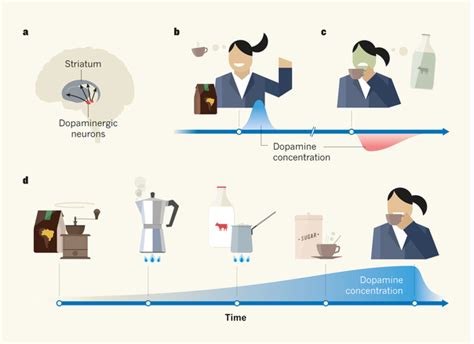 Deric's MindBlog: Dopamine, rewards, and the brain