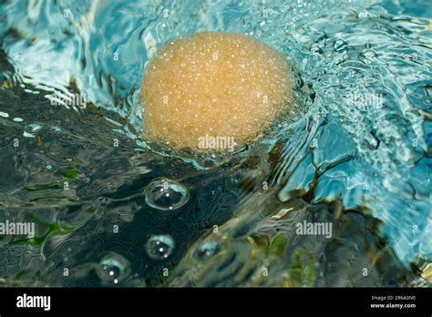 Water Texture With Foam Vacuum In The Middle Stock Photo Alamy