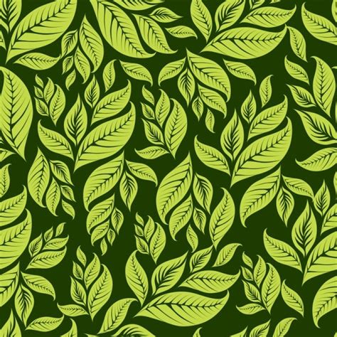 Green leaf background 03 vector Free vector in Encapsulated PostScript ...