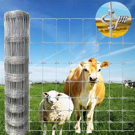 Hinge Joint Fencing Agriculture And Husbandry Used Galvanized Iron