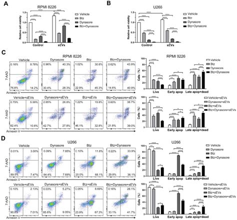 Endocytosis Inhibitor Enhances The Anti Mm Effect Of Bortezomib In