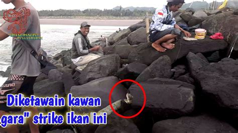 Gokil Di Tertawakan Kawan Gara Strike Ikan Ini Mancing