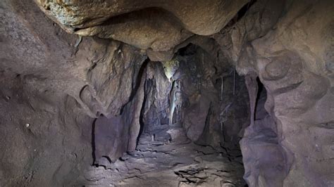 Gibraltar Cave Sealed For Thousands Of Years Offers Tantalizing Glimpses Of Neanderthal Life