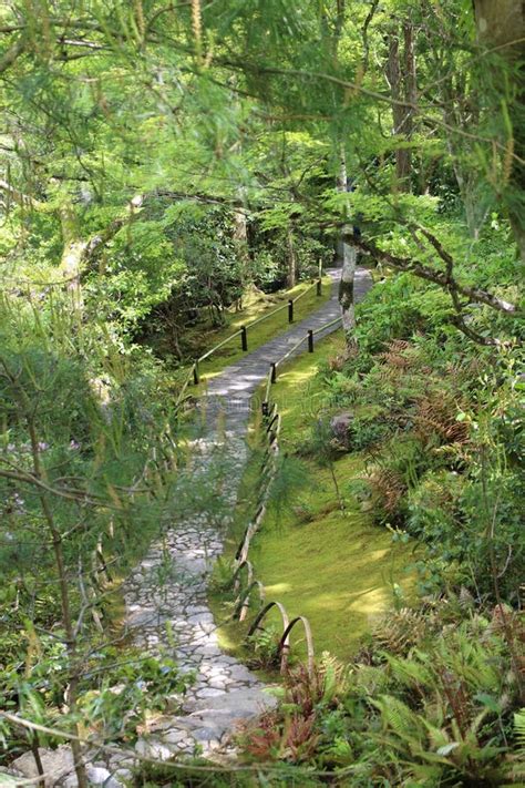 Fresh Green And A Path In Okochi Sanso Garden Kyoto Japan Stock Image