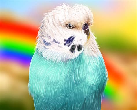 A Budgie Memorial Portrait ️ Rparrots