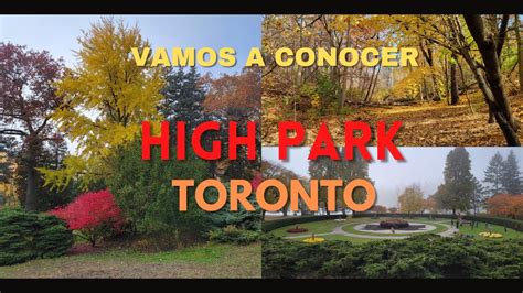 High Park Toronto En Otoño hay varidad de Colores en las Hojas de los