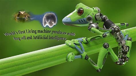 Worlds First Living Machine Created Using Frog Cells And Artificial