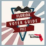 A Comprehensive Guide To Florida S 2022 Constitutional Amendments