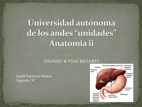 Anatomia Del Higado Y Vias Biliares PPT