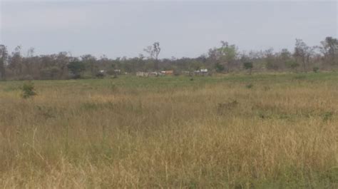 Guaraníes denuncian que su territorio en el chaco enfrenta desastre