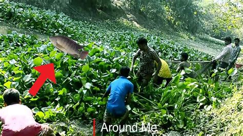 Amazing Net Fishing In Rivers Cast Net Fishing Wow Amazing Fishing