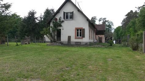 Notre élevage Le Domaine de la Patte BLanche