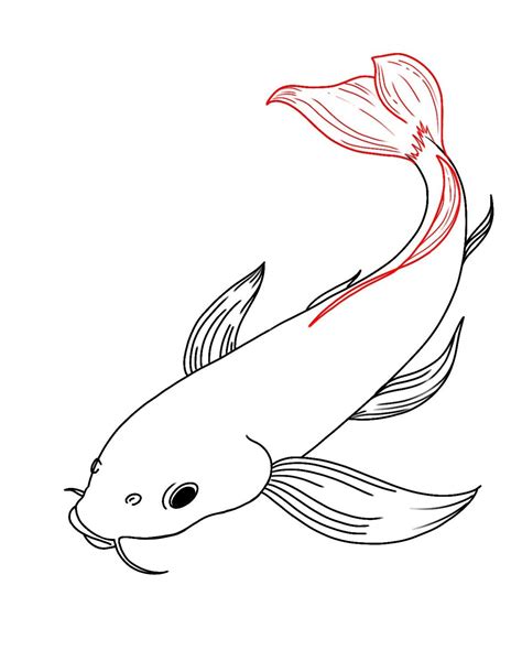 How To Draw Koi Fish Draw Central Koi Fish Drawing Fish Drawings