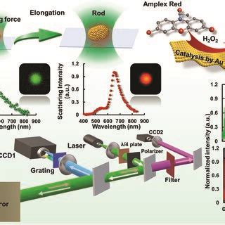 scattering spectral characterizations   laser induced shape