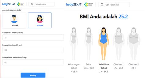 Cara Menghitung Berat Badan Ideal Jendela Negeri