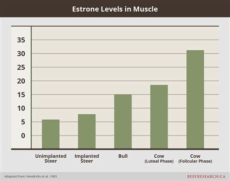 Hormones And Other Growth Promotants In Beef Production Beefresearch Ca