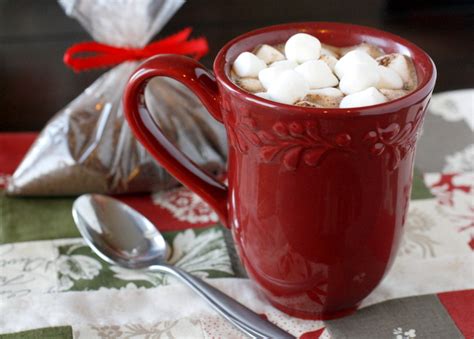 Homemade Gourmet Hot Chocolate Mix | What Megan's Making