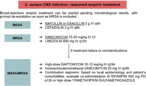 Difference Between MRSA And MSSA Compare The Difference, 54% OFF