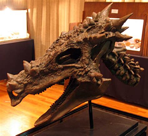 Louisville Fossils and Beyond: Dracorex hogwartsia