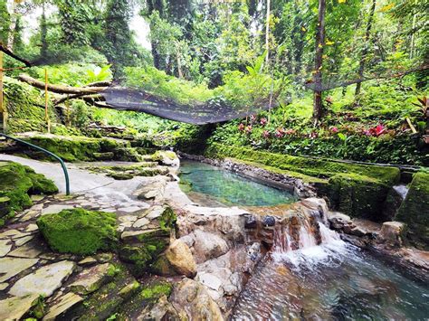 Rediscovering Tranquility Ardent Hot Springs Therapeutic Allure