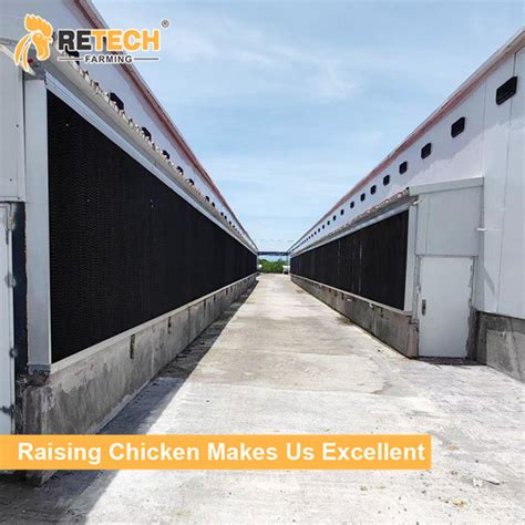 Automatic Battery H Type Tiers Broiler Raising Cage For Chicken